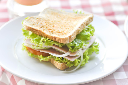 ham and cheese sandwich dishの写真素材