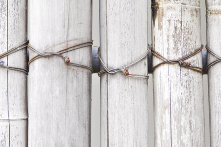 bamboo fence or bamboo wallの写真素材