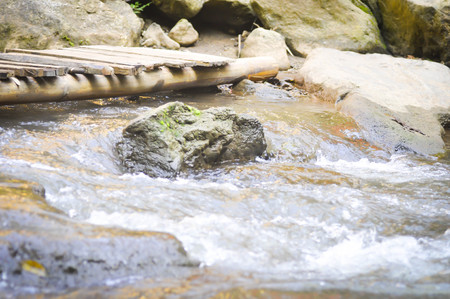 waterfall , rock and plant backgroundの写真素材