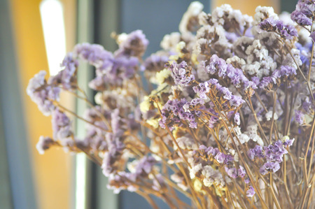 statice  flower bouquet in the vaseの写真素材