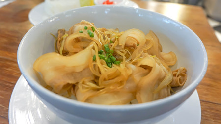 stir fried pork with rice or butadon, Japanese foodの写真素材