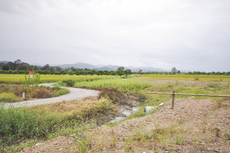 street ,sky and fieldの写真素材