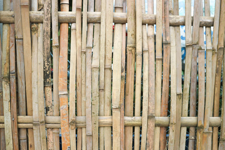 bamboo wall or bamboo fence in asiaの写真素材