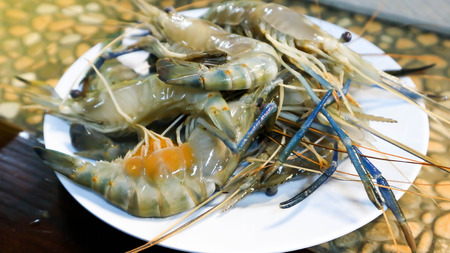 raw prawn or raw shrimp dishの写真素材