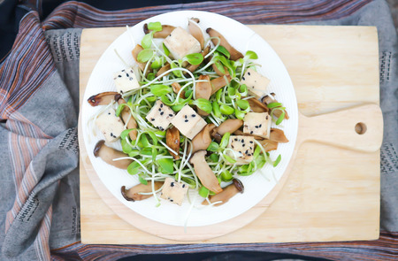 vegetable or sunflower sprout ,tofu and mushroom saladの写真素材