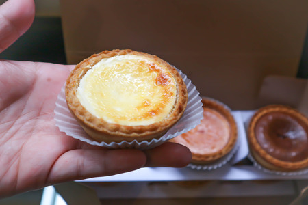 cheese pie or cheese tart in the handの写真素材