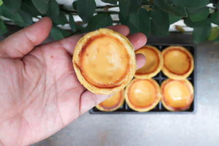 hold some tart or egg tartの写真素材