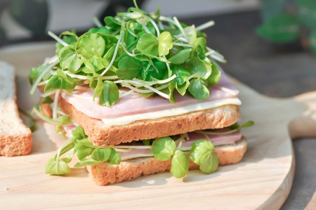 sandwich, ham and cheese sandwich with sprout