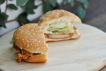 chicken burger or hamburger dish , bread with stuffed
