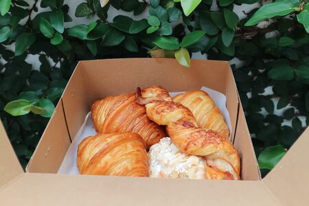 croissant and Bacon Twist Bread sticks in the boxの写真素材