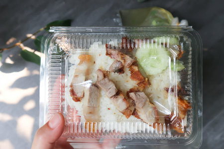 crispy pork with rice, rice topped with crispy pork in the plastic boxの写真素材