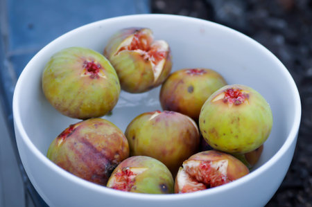 fig or ripe fig in the bowl