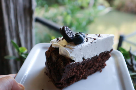 Chocolate cake with blueberry topping for serve