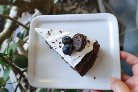 Chocolate cake with blueberry topping for serve