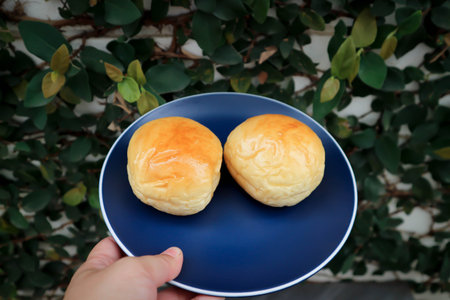 bun or perilla bun, cream bun or butter bun for serveの写真素材