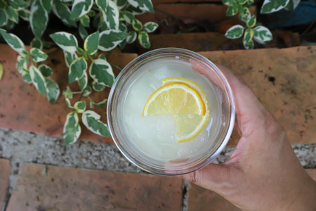 lime juice or lemon juice, lemon soda or tonic or soda and lemon sliced toppingの写真素材