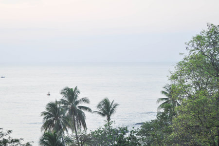 beach, sea and sun or sea background or sunset backgroundの写真素材