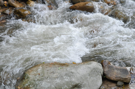 waterfall ,rock and tree or waterfall background or river background