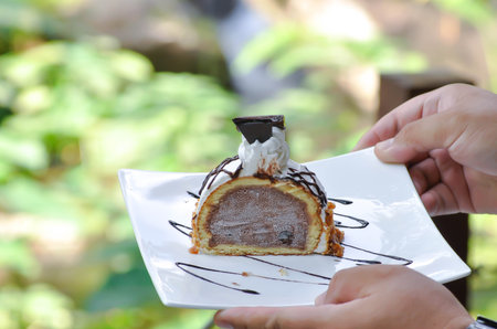 cake or ice cream cake or cake ice cream, cake with chocolate ice cream stuffed for serveの写真素材