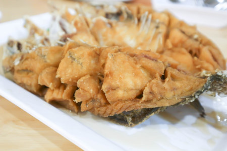 deep fried fish, deep fried bass or fried striped bass or fried Snapperの写真素材
