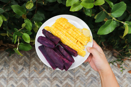 steamed corn and steamed purple sweet potato for serveの写真素材