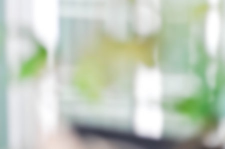 blur background, background or white and green background or blur tree backgroundの写真素材