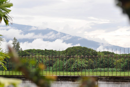 sky , cloud , tree and mountain backgroundの写真素材