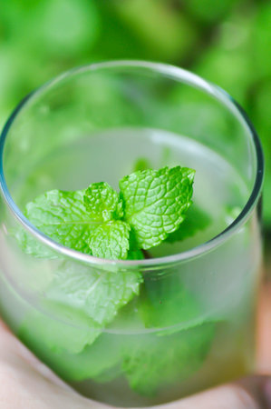 Mojito or cocktail ,mocktail or lime juice or lemon juice, lemon soda or tonic or soda and peppermint leaf or lime juiceの写真素材
