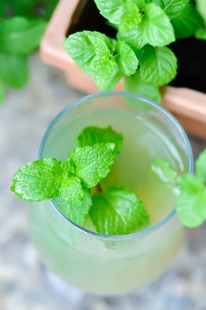 Mojito or cocktail ,mocktail or lime juice or lemon juice, lemon soda or tonic or soda and...