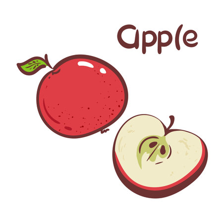 Hand drawn label. apple vector illustration isolated on white background. apple icon clip art. red. half an apple logoのイラスト素材