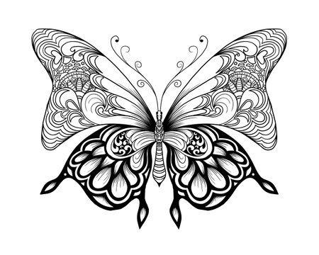 Hand drawn Butterfly illustration in stylish composition. coloring book page.のイラスト素材