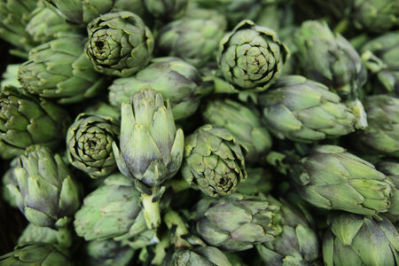 A pile of fresh green artichokes at a marketの写真素材