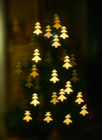 christmas tree of treesの写真素材