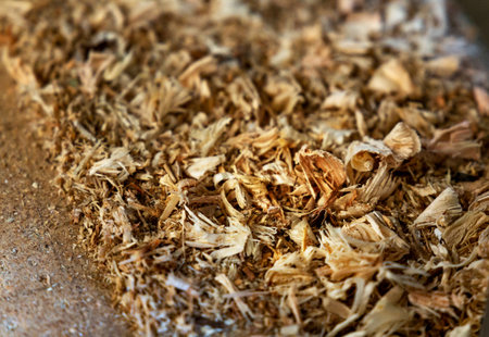 Closeup of wood chips. depth of field, soft focus effectの写真素材