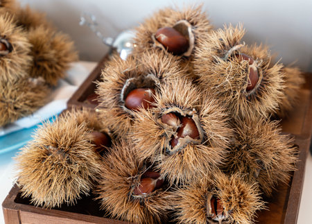chestnut curls. fall, winter healthy foodの写真素材