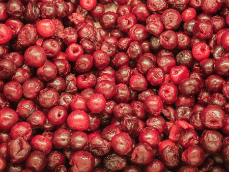 Frozen cherry in the refrigeratorの写真素材