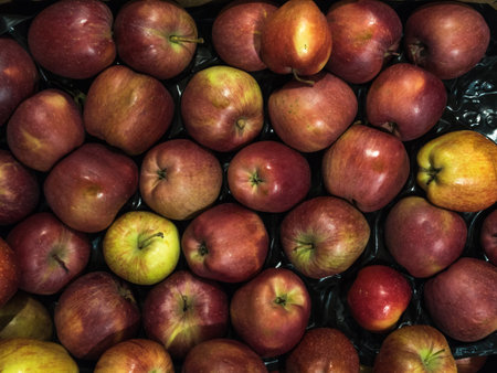 Many red delicious apples in a box