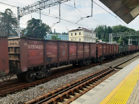 A long train of brown wagons stand on the railway of Sochi station, Russia 07.26.2019
