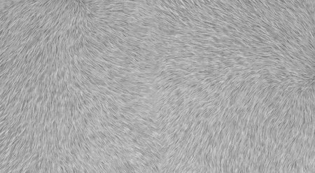 White wool rug on white background. 3D renderingの写真素材