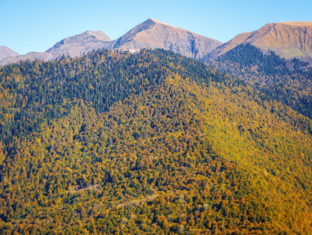 Close-up photo of a mountain valley with yellow autumn trees on a background of a mountain range and blue skyの写真素材