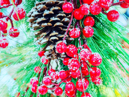 Red berries on a Christmas tree with a pine cone are covered with ice crystals. Christmas decorの写真素材