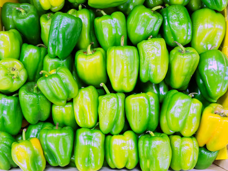 A pile of green bell peppers are neatly stacked in rows. Full screen photo. Background wallpaperの写真素材