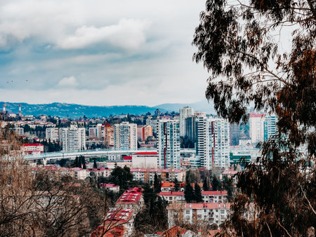 Cityscape with skyscrapers and low houses with a dry tree in the foreground against a cloudy sky