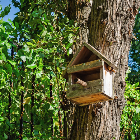Wooden bird feeder with a perch hanging on a tree trunk among green foliage illuminated by a bright...