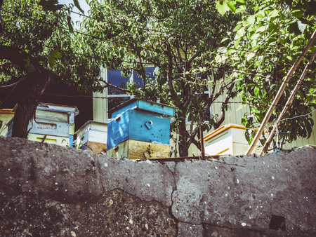 Wooden beehives with bees near a rural house located on a hillock filled with concreteの写真素材