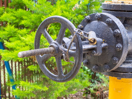 A large black iron water valve with rough peeling paint against a background of green bushes. Closeup photoの写真素材