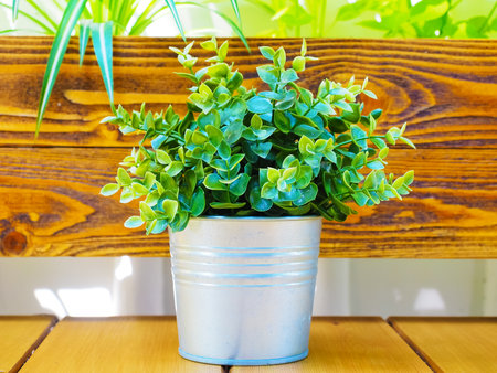 Artificial indoor green plastic plant in aluminum pot stands on wooden shelfの写真素材