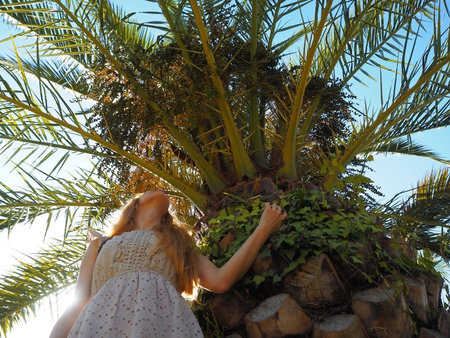 A girl stands under a spreading palm tree looking up and holding on to a thick trunk. Photo from bottom to topの写真素材