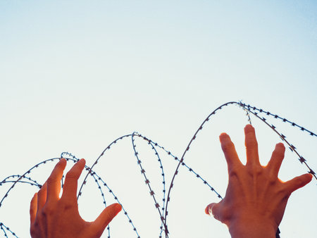 The palms stretch upward behind the barbed wire against the sky.の写真素材