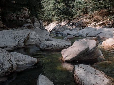 Large smooth stones in a mountain river flowing among rocks and trees. Southern beauty